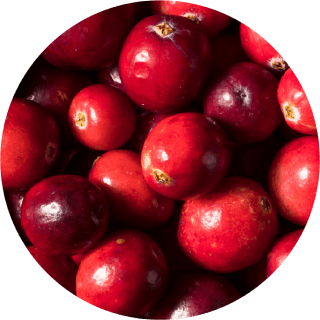 Fresh cranberries