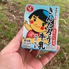 大野山の山開きに参加！無料の牛乳ゲットを目指して