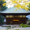 【鎌倉・浄智寺】森深し ここは鎌倉 谷戸の寺 ｜60歳からの御朱印めぐり〔017/541〕