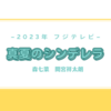 真夏のシンデレラ 【第11話（最終回）感想】降って湧いた障壁