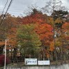 3ヶ月ぶりの北軽井沢・・・紅葉の季節になってました（2024年11月初旬）