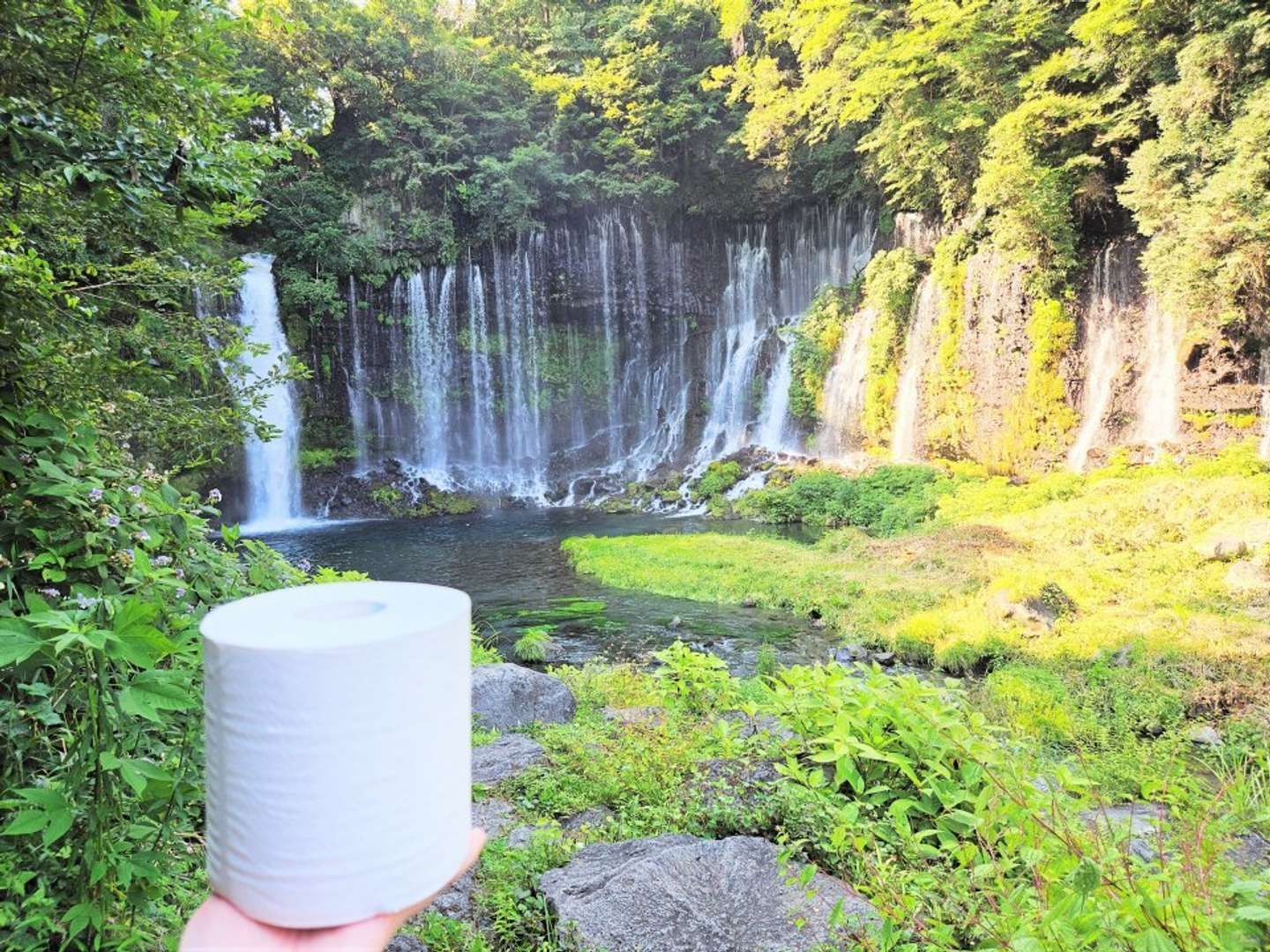 富士山からの湧き水が勢いよく流れ落ちる白糸の滝、もしかしたらこの水も...トイレットペーパー「親かも...」