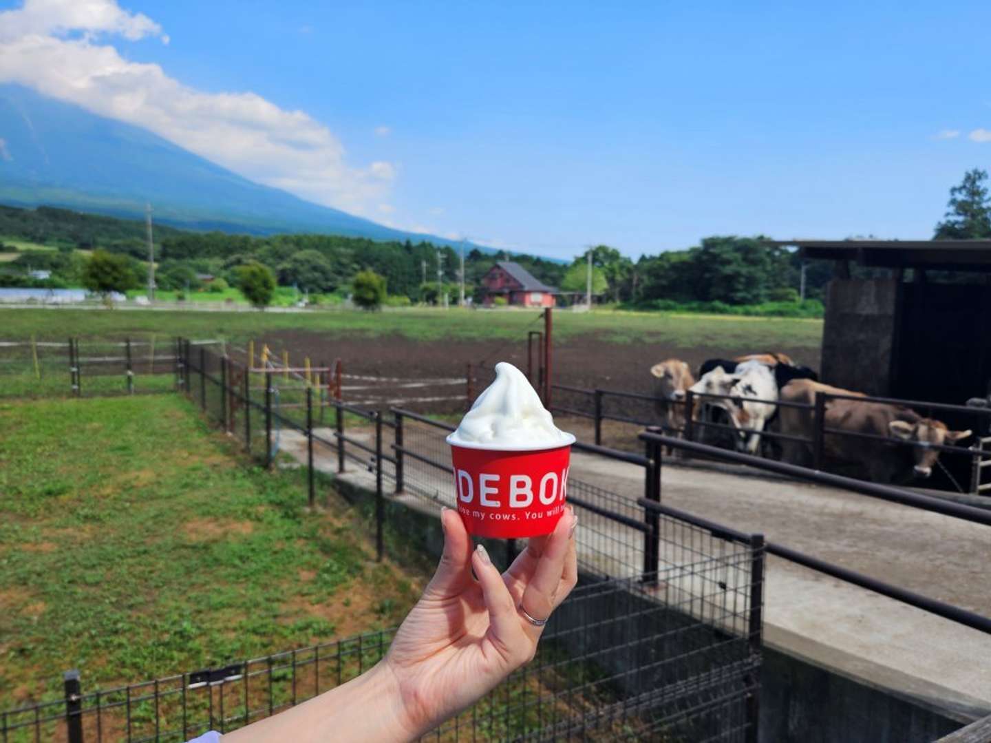 「COW RESORT IDEBOK in 富士山高原」のソフトクリーム