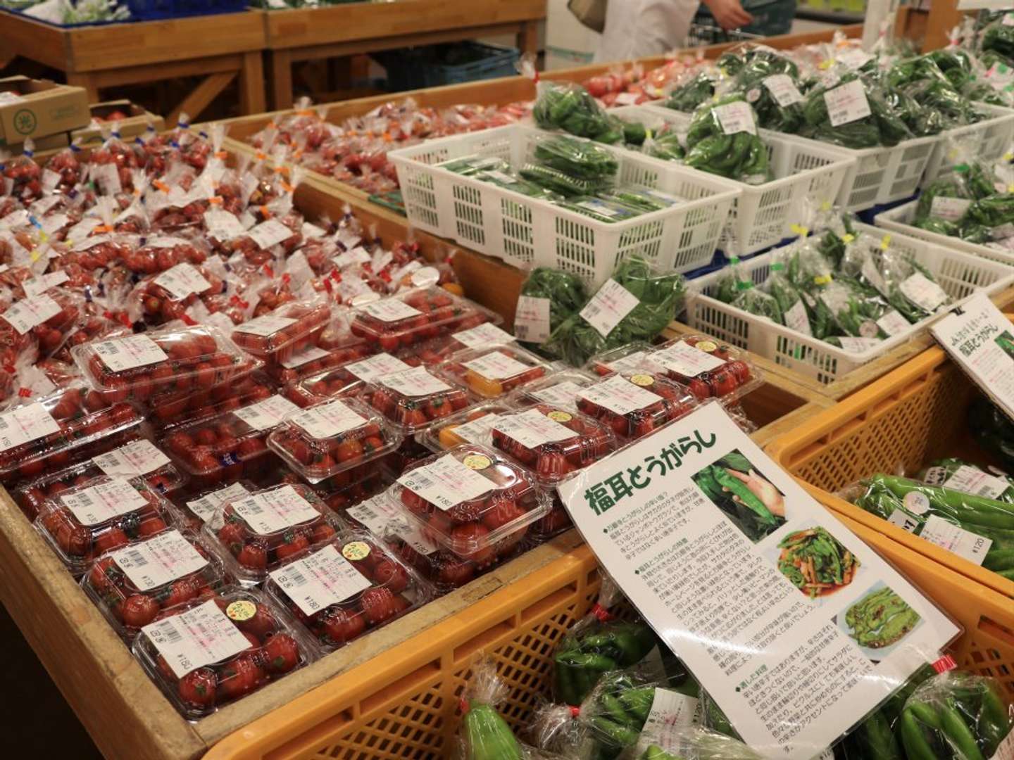 トマトにとうがらし、ナスにピーマンなど新鮮な夏野菜たちがたくさん並んでいた