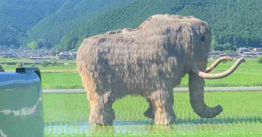 田んぼの中に〝マンモス一家〟出現　3.3万人驚がくの車窓風景に「間違いなく二度見」「生きてたんだまだ」