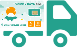 voice_sim_home.hiw_delivery