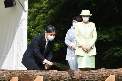 リモートで出席された第71回全国植樹祭でクロマツにノコギリを入れる天皇陛下と、皇后雅子さま＝東京都港区の赤坂御用地で2021年5月30日午後3時3分（代表撮影）