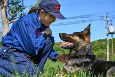 柴田涼音巡査長を見つめる北海道警の警察犬ノート＝札幌市南区で2024年5月15日、貝塚太一撮影