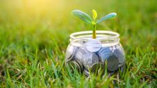 jar of coins with plant growing out of it