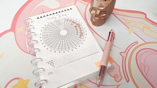 Imperfect Inspiration&#039;s mini discbound planner