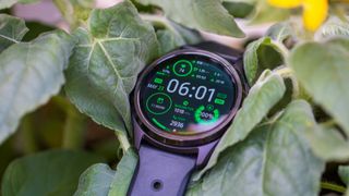 TicWatch Pro 5 in sunflowers