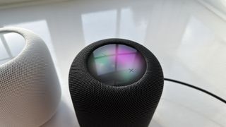 A black Apple HomePod 2 on a white surface with its top panel visible.