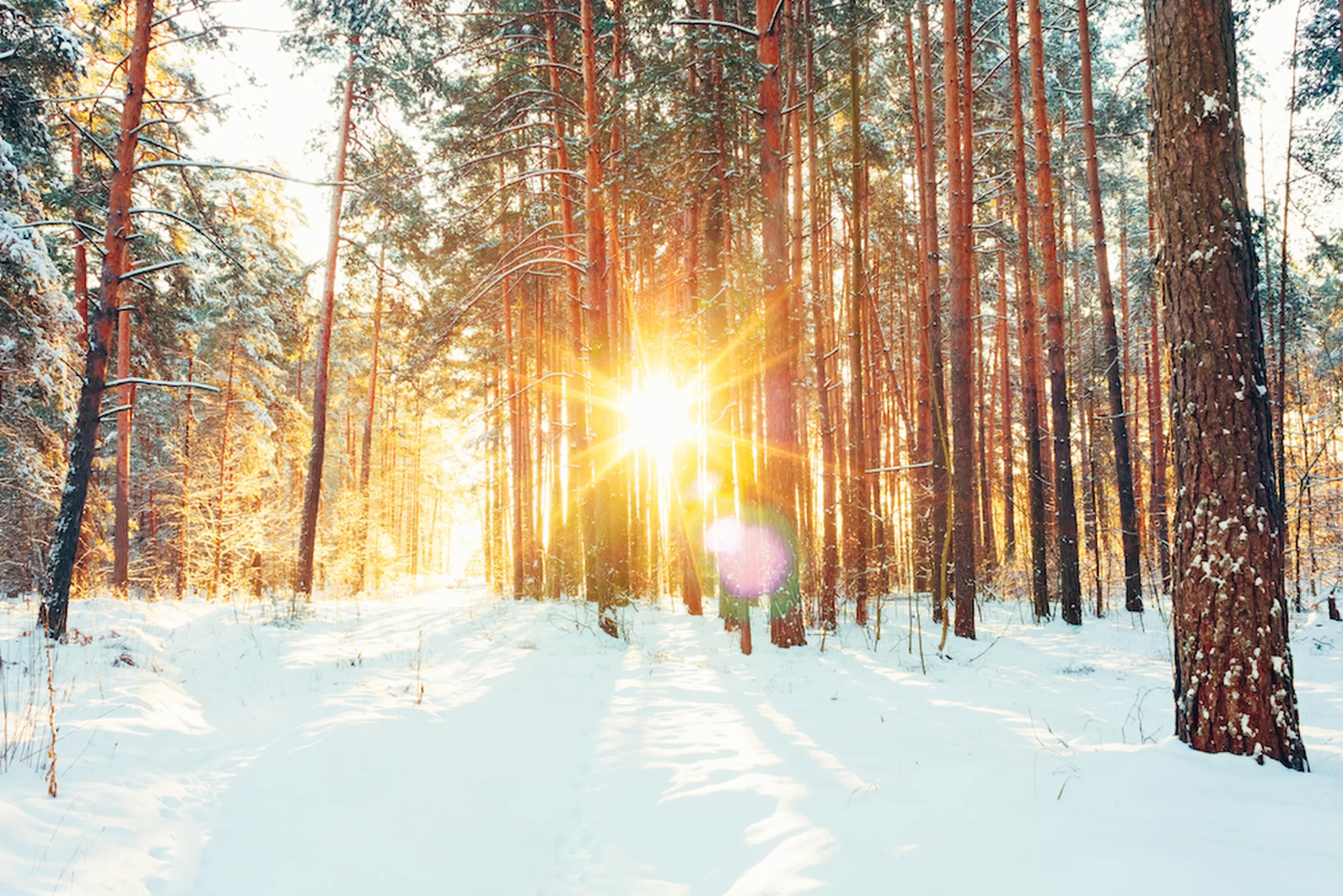 On the winter solstice, the sun is at its southernmost point in the sky in the Northern Hemisphere.