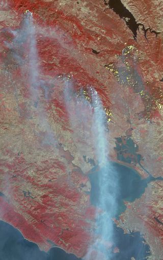 Wildfires satellite image