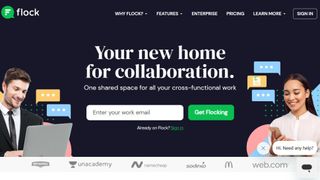 Website screenshot for Flock