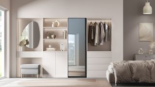 Samsung Bespoke Mirror AirDresser