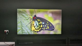 Samsung QN85D with green butterfly on screen