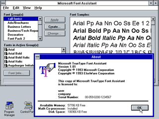 Microsoft Windows 3.1 screenshot showing TrueType font capabilities through the Microsoft Font Assistant.