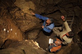 Denisova Cave discoveries