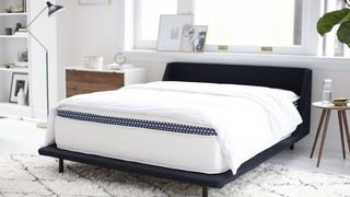 The WinkBed Mattress shown on a black fabric bed frame placed in a white bedroom