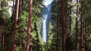 Yosemite National Park