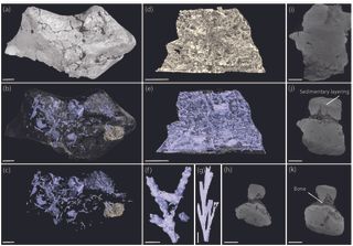 computer-renderings-fossil-architecture