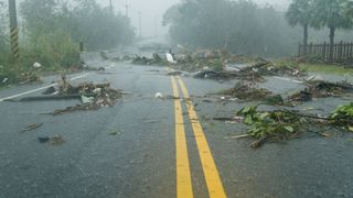 Branches blown across the road after a storm