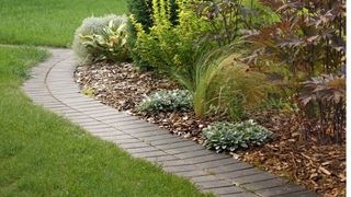 Garden path in yard