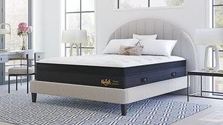 Nolah Mattress