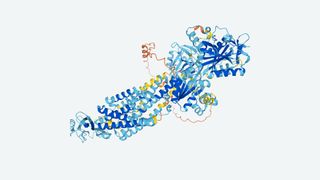 A 3D image of a malaria protein