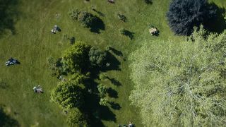 A screenshot of the restored original timeline in The Umbrella Academy season 4 finale as an overhead shot of a tree in a park with people sitting near it