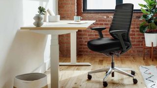 Branch Ergonomic Chair review