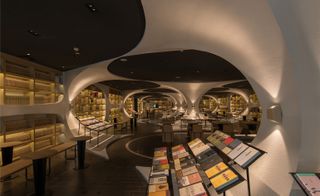 Volumes of literature, social sciences, and history line the sides of shelves