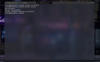 Manjaro on WSL