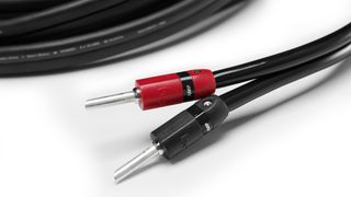 Red and black terminated speaker cable on a white background