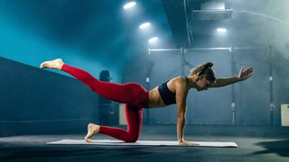 a photo of a woman doing the bird dog exercise in a gym 