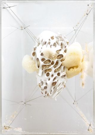 Neri Oxman