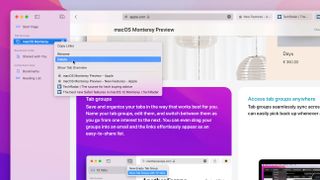 How to use Safari Tab Groups in macOS Monterey