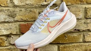 Nike Pegasus 39