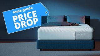 Casper Wave Hybrid Snow mattress