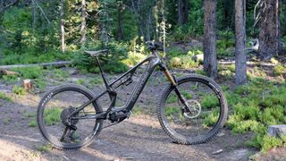 Cannondale Moterra SL 1 parked in a forest bathed in sunlight