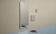 Aluminium mirrors with lobster