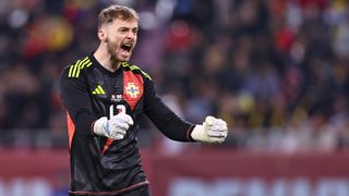 Goalkeeper Conor Hazard celebrates a Norther Ireland goal