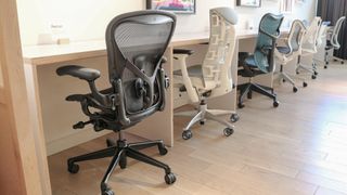 All of Herman Miller's most popular office chairs in a row in one of its stores