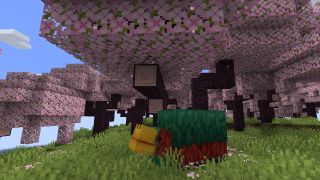 In-game screenshot of the Cherry Blossom biome in Minecraft 1.20.