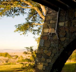 stone wall and nature in sunset