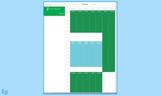 Schedule grid on the web portal.