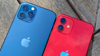 iPhone 12 vs iPhone 12 Pro cameras