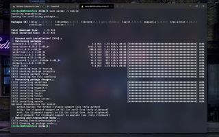 Manjaro on Wsl Package Install