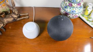 Apple HomePod mini and Amazon Echo